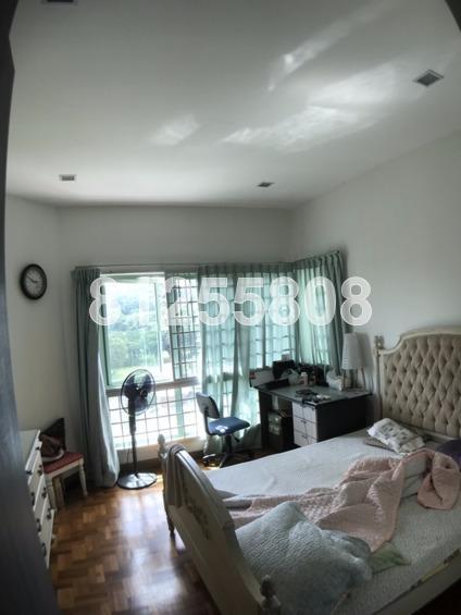 Hillview Park (D23), Condominium #157763712